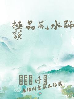 极品风水师 小说