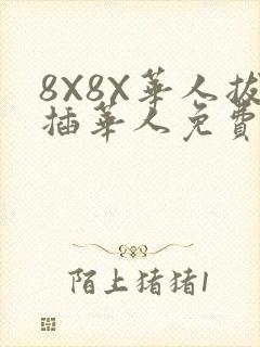 8X8X华人拔插华人免费