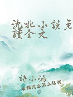 沈北小说免费阅读全文