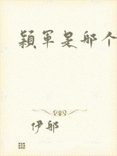 颖军是哪个军阀