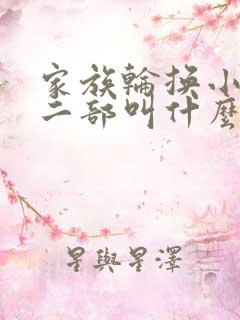 家族轮换小说第二部叫什么名字