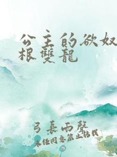 公主的欲奴h四根双龙