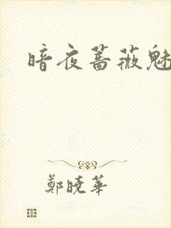 暗夜蔷薇魅之伤
