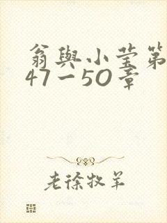 翁与小莹第十部47一5O章