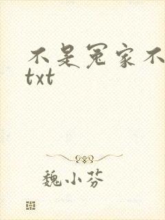 不是冤家不聚头txt