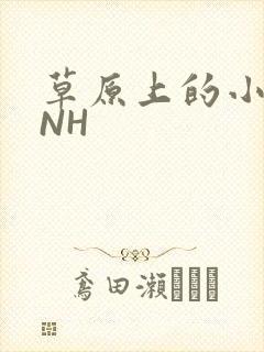 草原上的小公主NH
