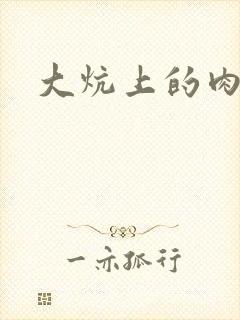 大炕上的肉伦二