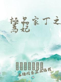 极品家丁之册母为妃