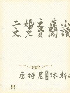 二婚之痒小说全文免费阅读