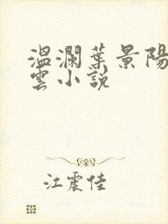 温澜叶景阳温云云小说