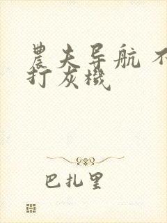 农夫导航 不准打灰机