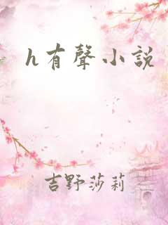 h有声小说