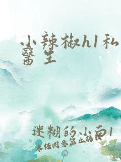 小辣椒h1私人医生