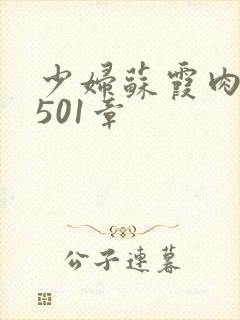 少妇苏霞肉欲第501章