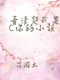 看清楚我是怎么C你的小说