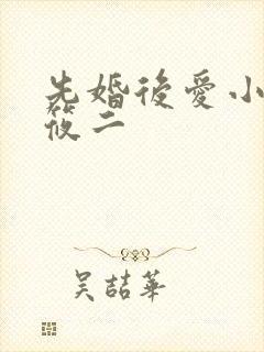 先婚后爱小说梦筱二