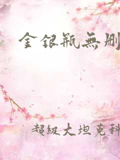 金银瓶无删除
