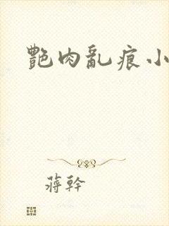 艳肉乱痕小说