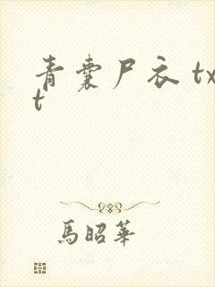 青囊尸衣 txt