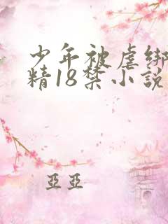 少年被虐绑着榨精18禁小说