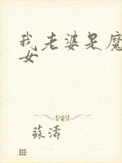 我老婆是魔法少女