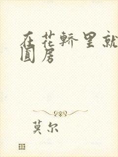 在花轿里就开始圆房