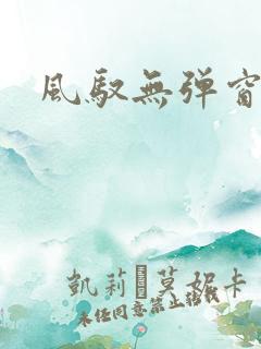 风驭无弹窗