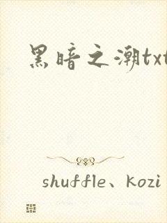 黑暗之潮txt