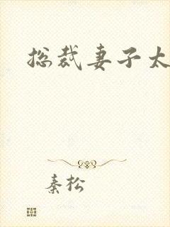 总裁妻子太诱人