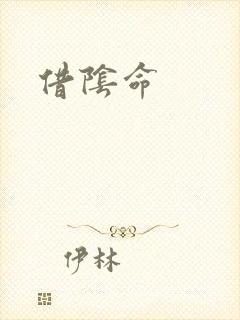 借阴命