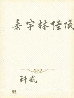 秦宇林佳仪小说