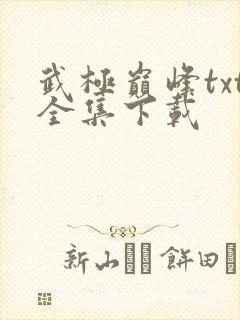 武极巅峰txt全集下载