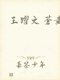 王跃文 苍黄