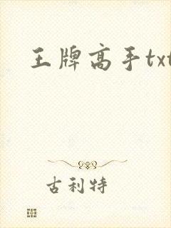王牌高手txt