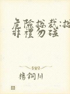 危险总裁:总裁非礼勿碰