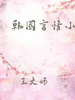 韩国言情小说