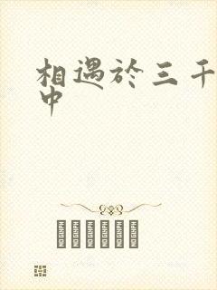 相遇于三千肉文中