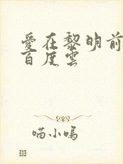 爱在黎明前降落百度云