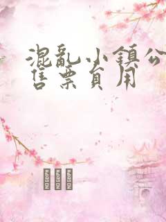 混乱小镇公交车售票员用