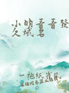 小明看看发布永久域名