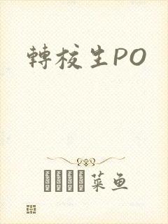 转校生PO