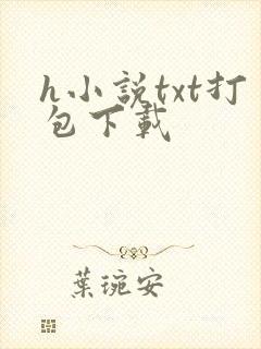 h小说txt打包下载