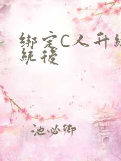 绑定C人升级系统后