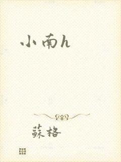 小南h
