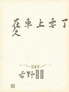 在车上要了我很久