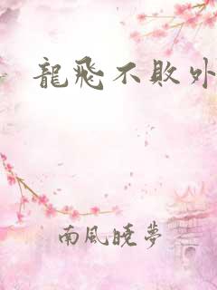 龙飞不败外传