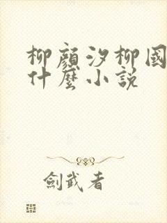 柳颜汐柳国安是什么小说