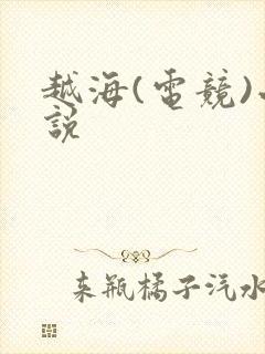 越海(电竞)小说