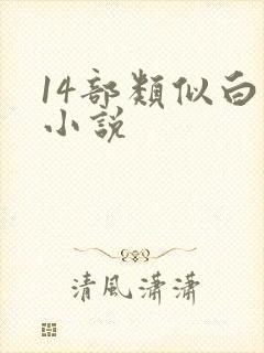 14部类似白洁小说