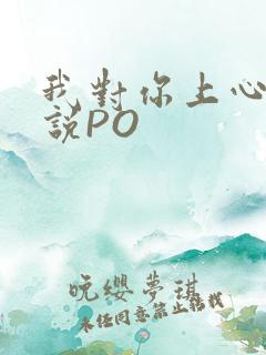 我对你上心了小说PO